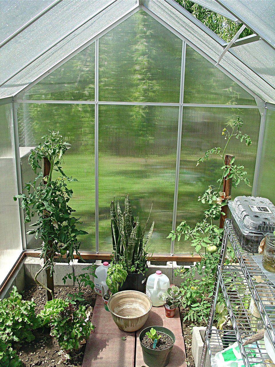 Vegetable Garden Greenhouse