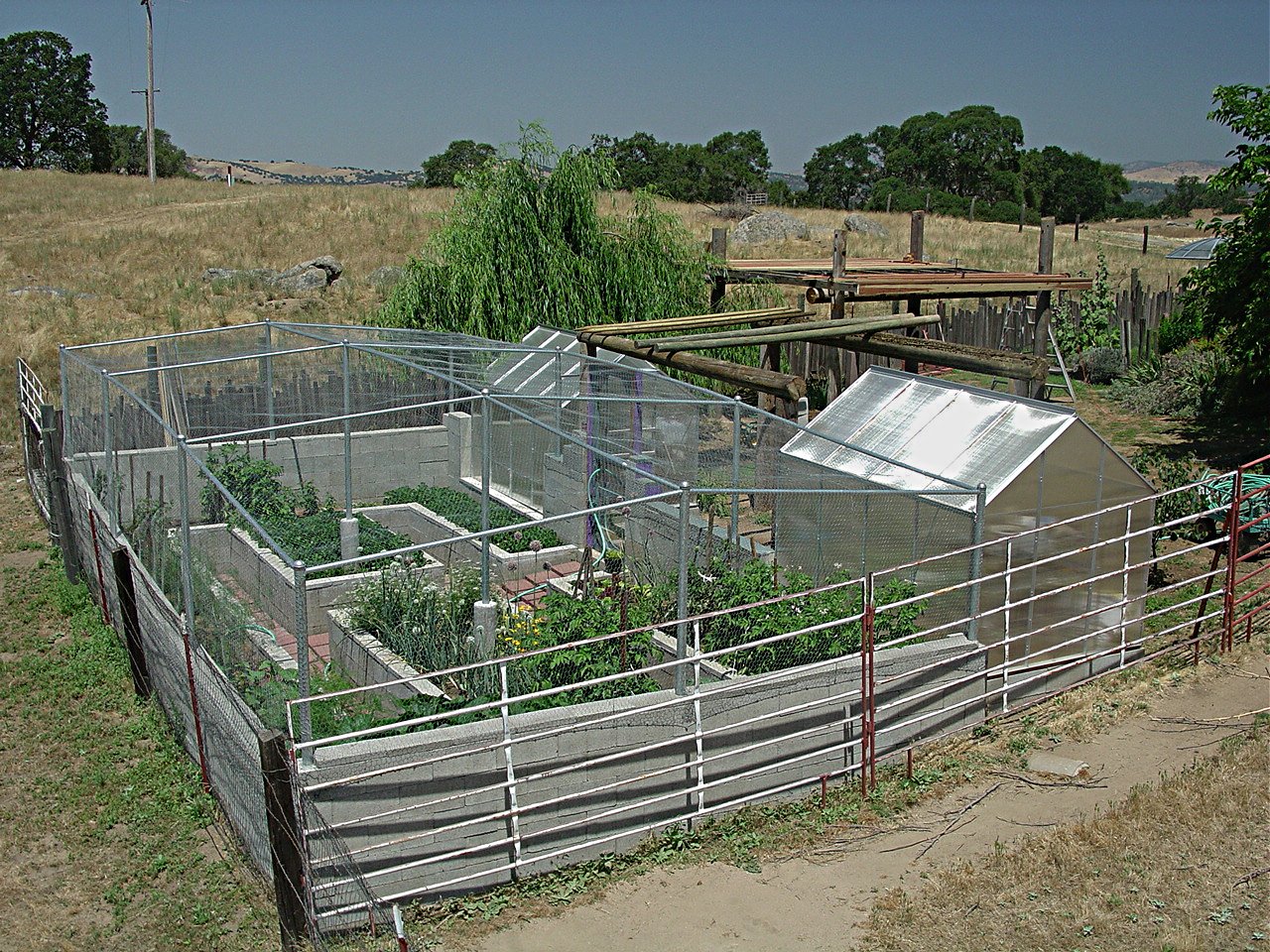 Small Vegetable Gardening