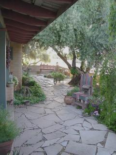 Courtyard at north side of house