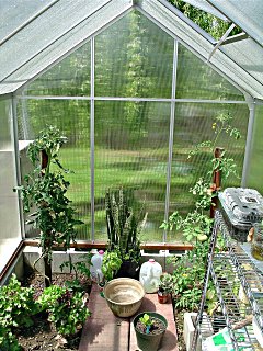 Inside view of one of the greenhouses