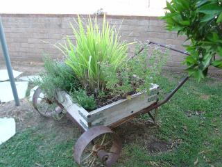 Herb garden in an old cart