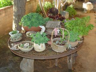 Plants placed on large lazy-susan style of metal art