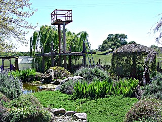 Observation and Play platform