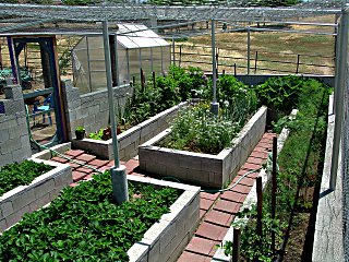 Looking at vegetable garden from the opposite corner