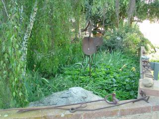 Weeping Birch and surrounding garden