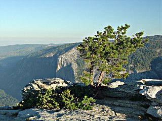 Looking down on El Capitan from Sentinel Dome