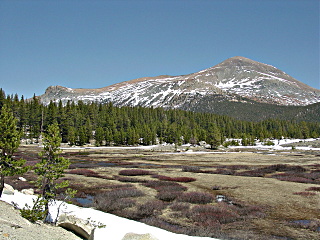 View of Mt. Dana from the West, about 3 miles before reaching Tioga Pass.