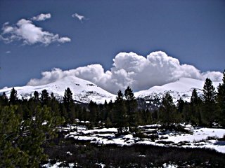 Mt. Dana from the West on May 29, 2008, after a surprise spring snow storm.